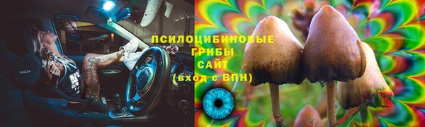 PSILOCYBIN Нефтегорск