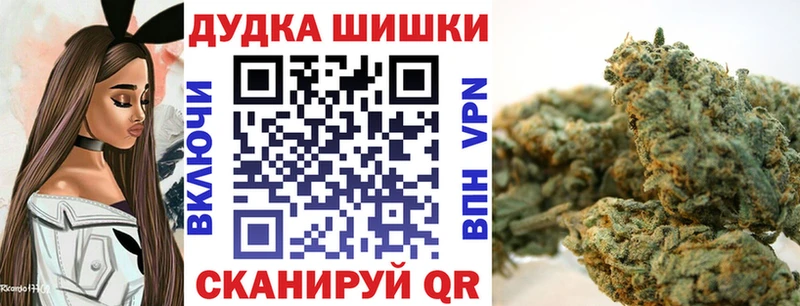 Каннабис SATIVA & INDICA Бавлы